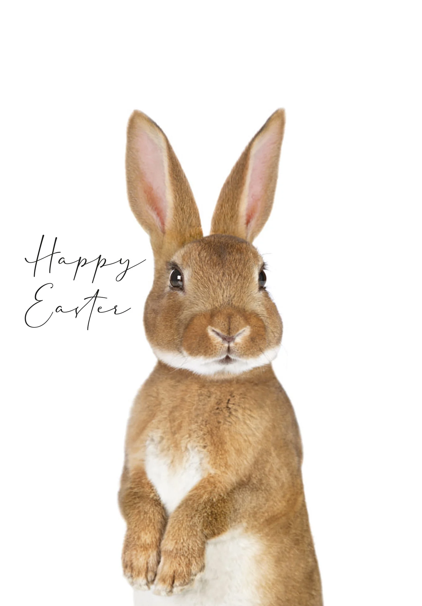 Happy Easter - Brown Rabbit PDF - Image 2