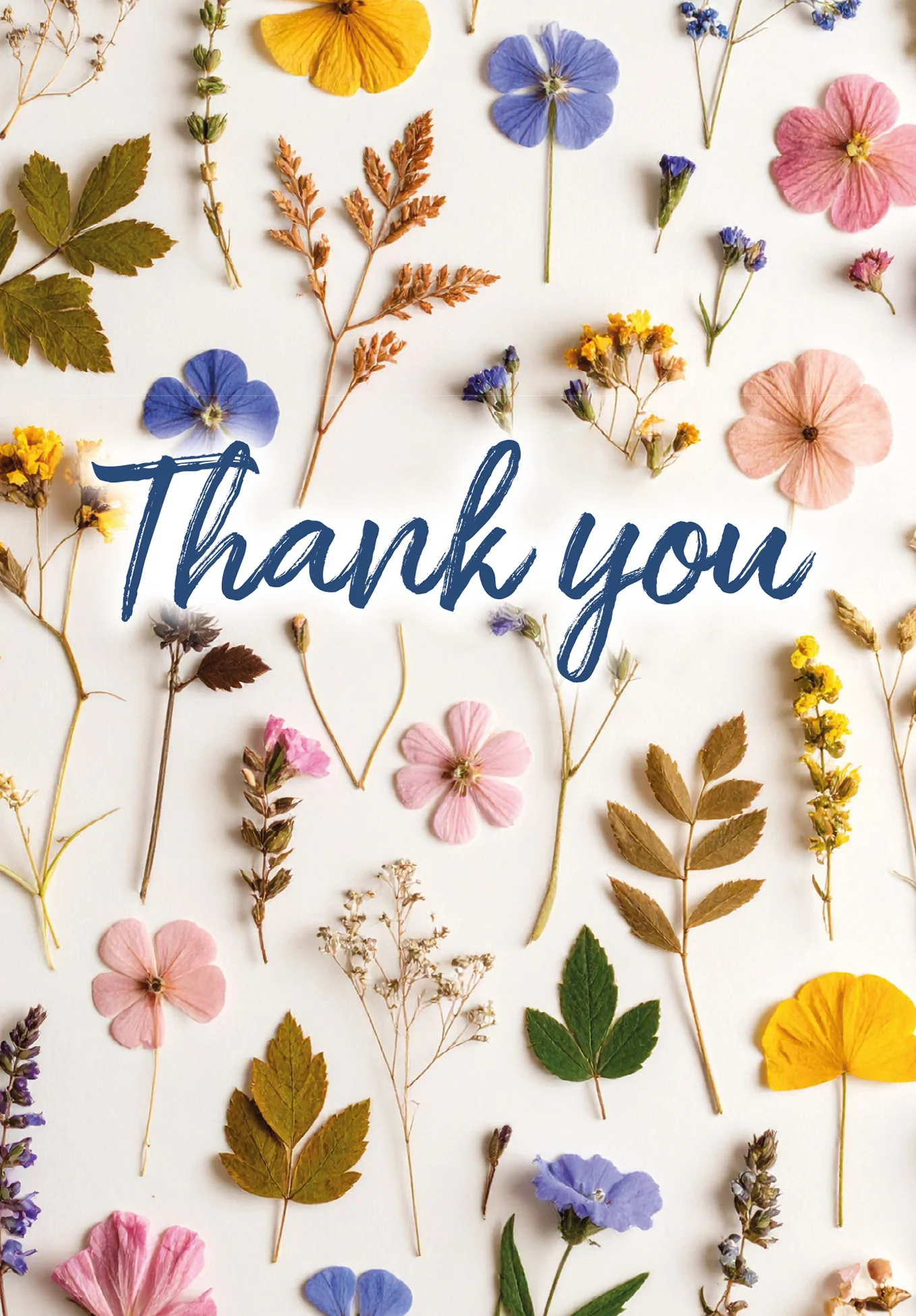 Thank you - Colourful dried flowers - Image 2