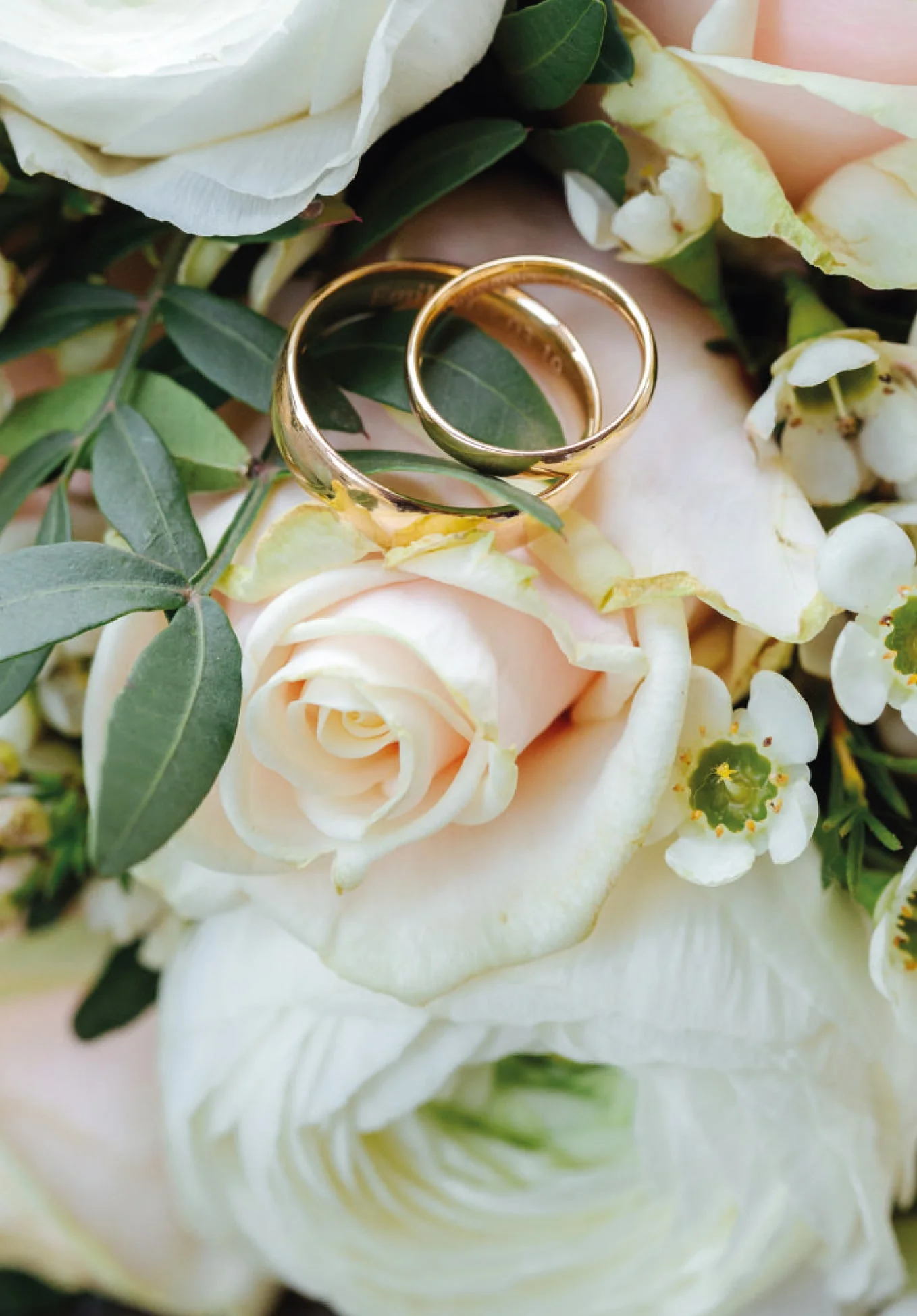 Wedding Rings PDF - Image 2